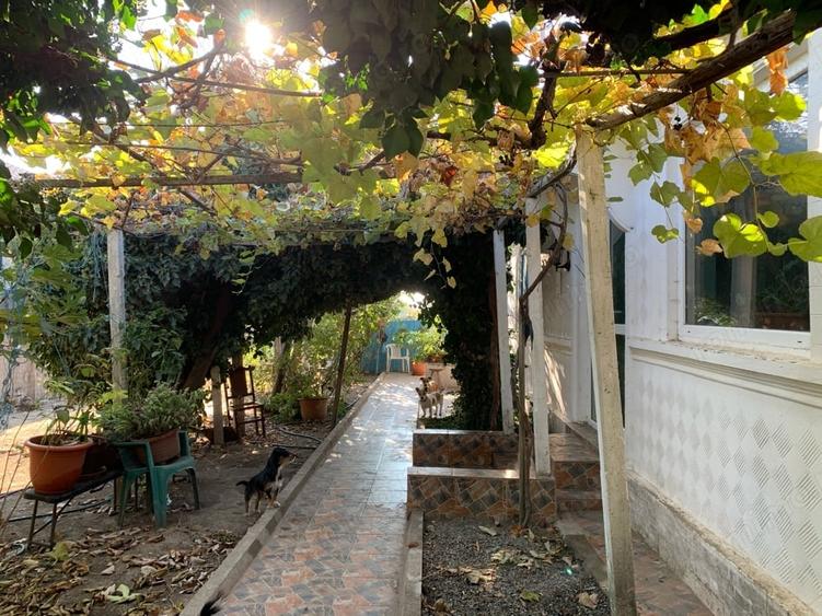 Casă cu 4 camere cu Teren 2000 Mp în Jurilovca