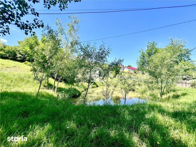 Casă cu 2 camere cu Teren 950 Mp în Probota