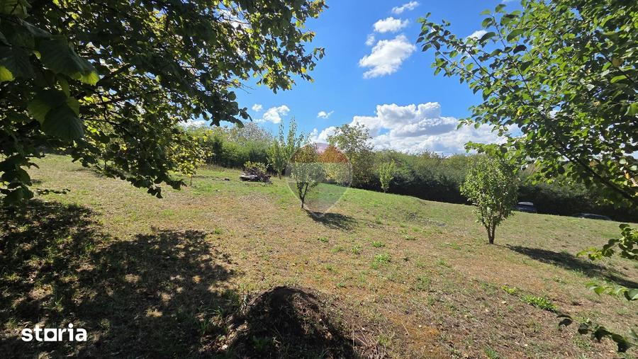 Casă cu 1 camere cu Teren 4345 Mp în Central