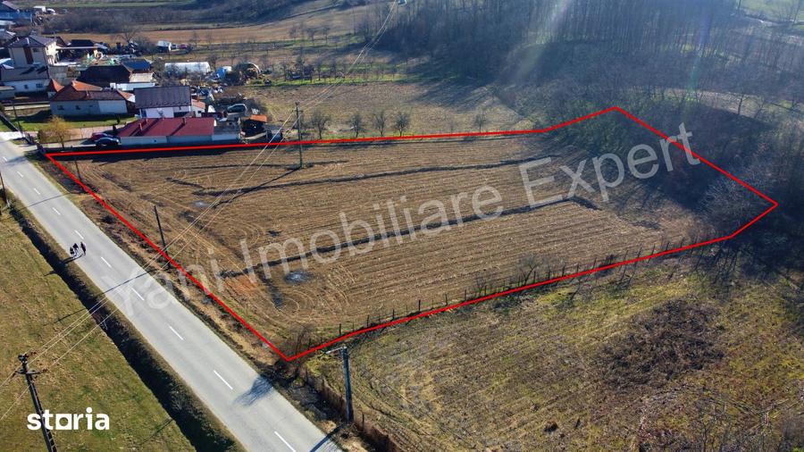 Teren de 5600 mp, în Băiculești
