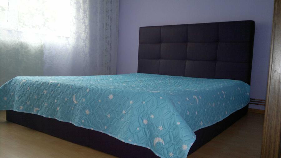 Apartament cu 2 camere decomandat în Exercițiu