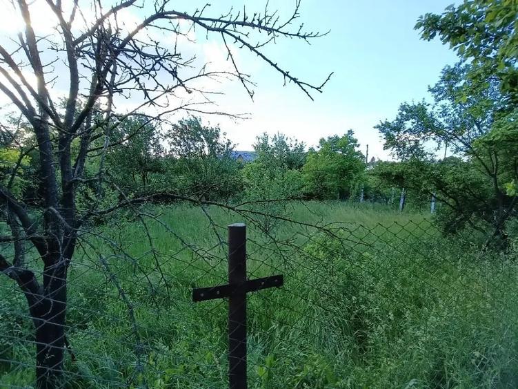 Teren de 210 mp, în Doicești