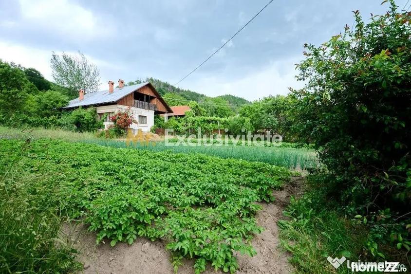 Casă cu 3 camere cu Teren 4696 Mp în Central