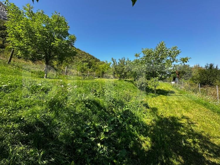 Teren Construcții extravilan de 1800 mp, în Vălișoara