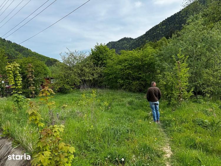 Terende vanzare 4.300 mp Brate?-Tarcau,Neam?-Poten?ial turistic - 2