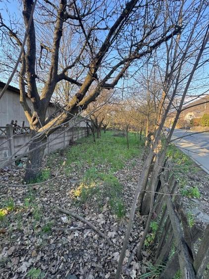 Teren Construcții intravilan de 700 mp, în Griviței
