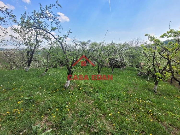 Casă individuală cu 3 camere cu Teren 1906 Mp în Breaza