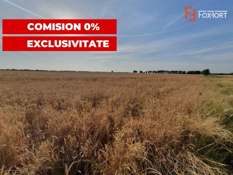 COMISION 0% Teren de vanzare intravilan de 24.700 mp - Padur - 7