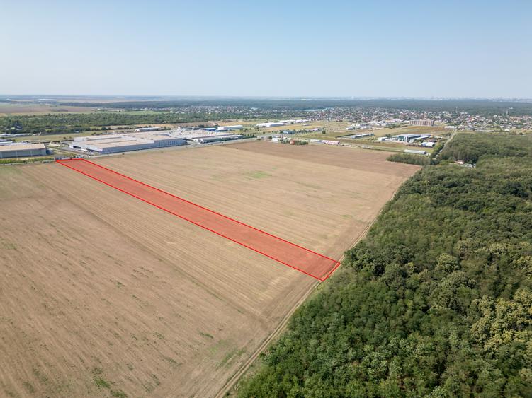 Teren Construcții intravilan de 21500 mp, în Brănești