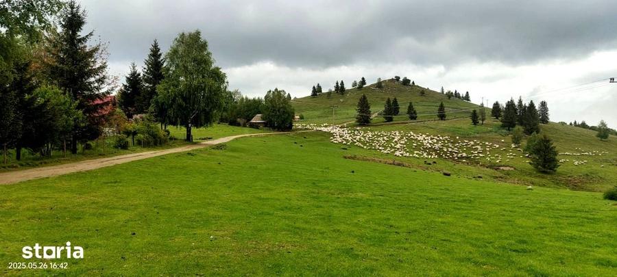Teren de vanzare PUZ Aprobat in Paltinis - 1
