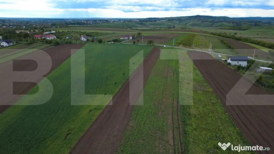 Teren agricol, 5.200 mp, Comuna Sendriceni - 8