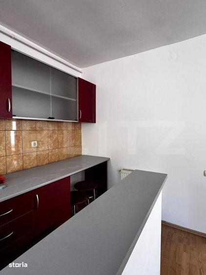 Apartament cu 2 camere decomandat în Viișoara