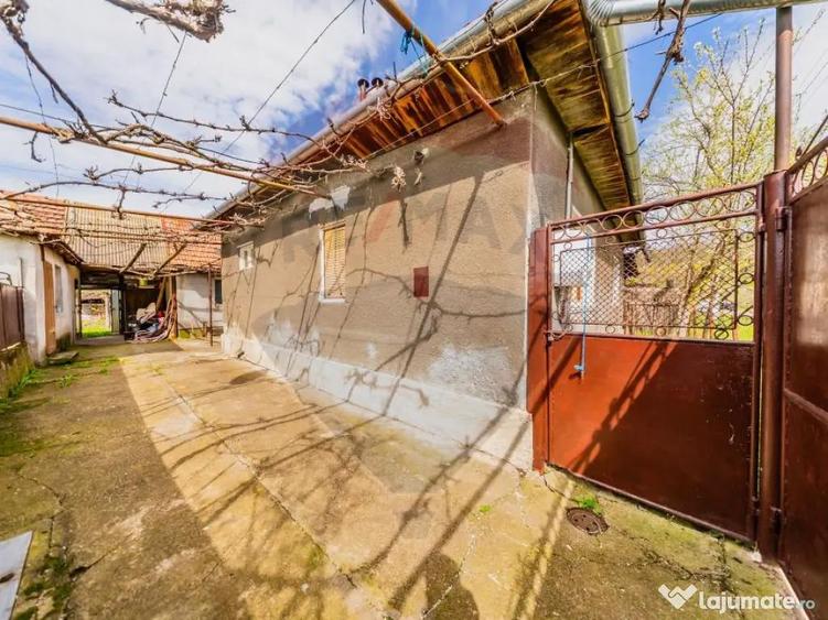 Casă cu 2 camere cu Teren 4500 Mp în Cărand