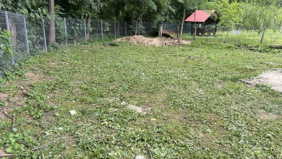 Casă cu 3 camere în Tisău