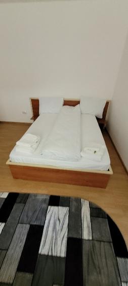Vând apartament 2 camere Parter Baile Herculane - 7