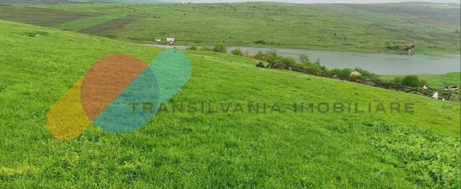 Teren Construcții intravilan de 1600 mp, în Câmpenești