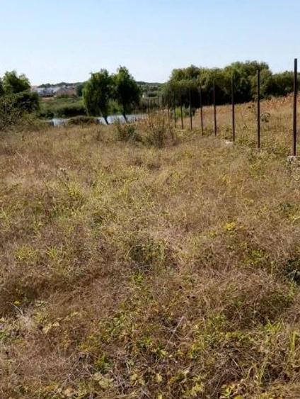 Teren intravilan de 6614 mp, în Corbeanca - 2