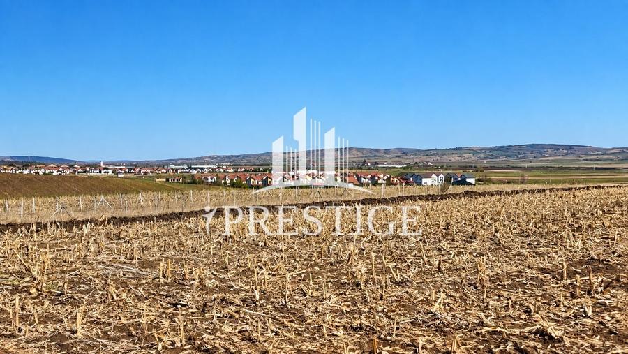 Teren Construcții intravilan de 417 mp, în Șura Mică