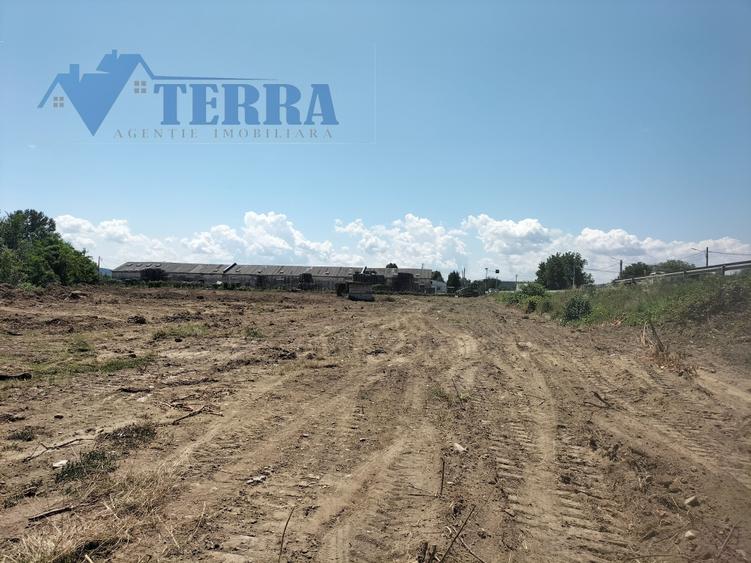 Teren Construcții intravilan de 7500 mp, în Micești