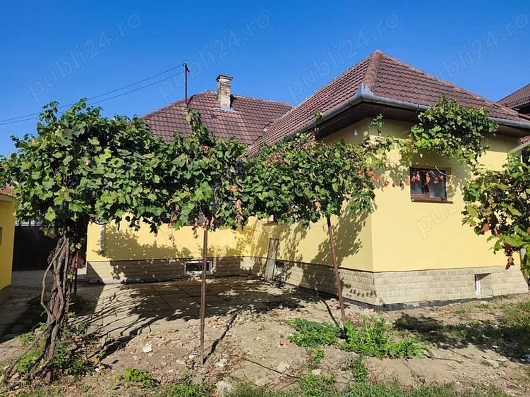 Casă cu 2 camere cu Teren 500 Mp în Central