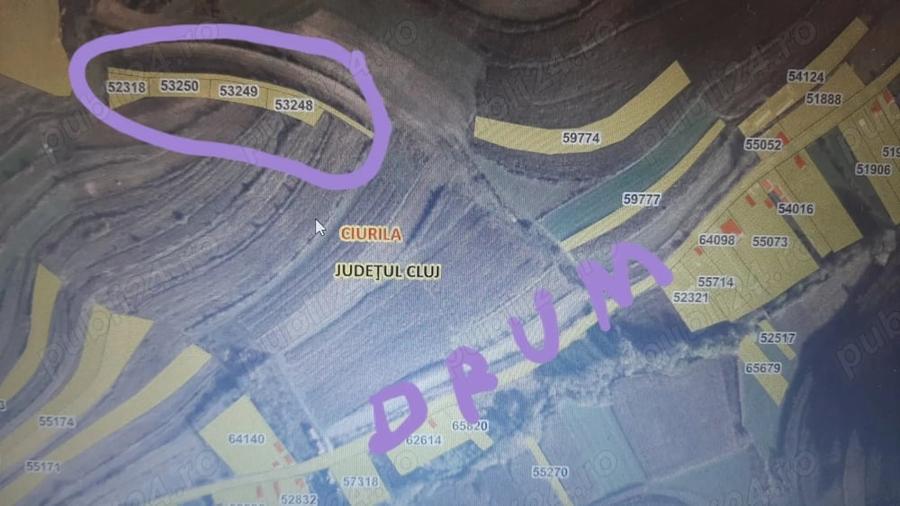 Teren în Filea de Jos