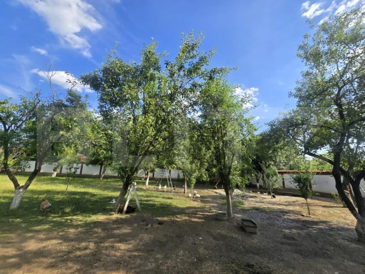 Teren de 1700 mp, în Central
