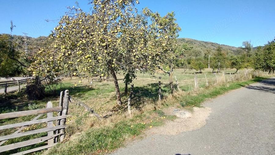 Teren de 9288 mp, în Bucova