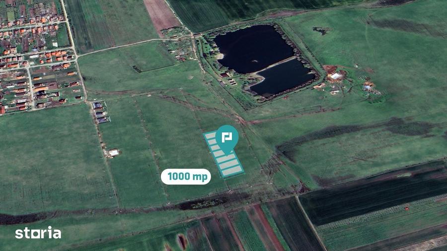 Teren de 1000 mp, în Zimandu Nou