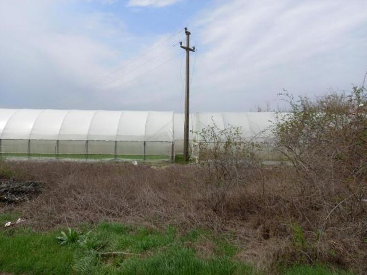 Teren Construcții intravilan de 500 mp, în Varlaam