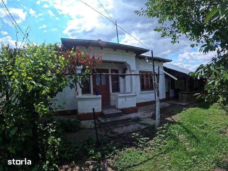 Casă cu 3 camere cu Teren 1038 Mp în Vedea