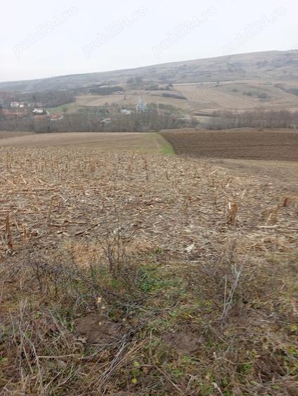 Teren de 3000 mp, în Ruși