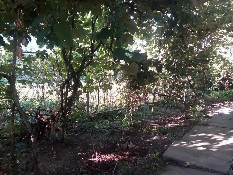 Casă cu 3 camere în Central