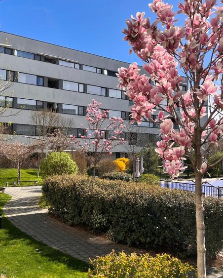Apartament cu 2 camere decomandat, mobilat în Chitila