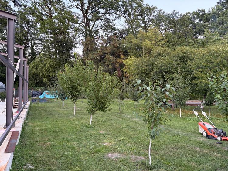 Casă cu 4 camere în Central
