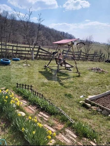 Teren Construcții extravilan de 2900 mp, în Sud-Vest