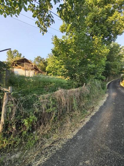 Teren de 600 mp, în Păușești