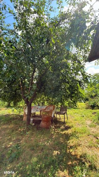 Casă cu 3 camere cu Teren 2100 Mp în Dor Mărunt