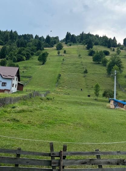 Spațiu comercial, în Poiana Micului