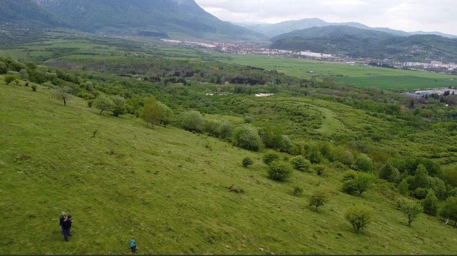 Spațiu comercial, în Tohanu Nou