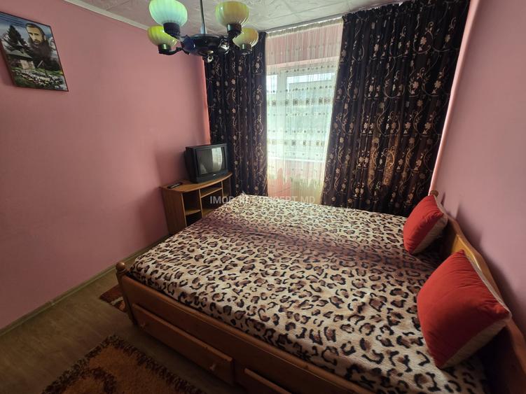 Inchiriere Apartament 2 camere zona Vest-Eremia Grigorescu - 7