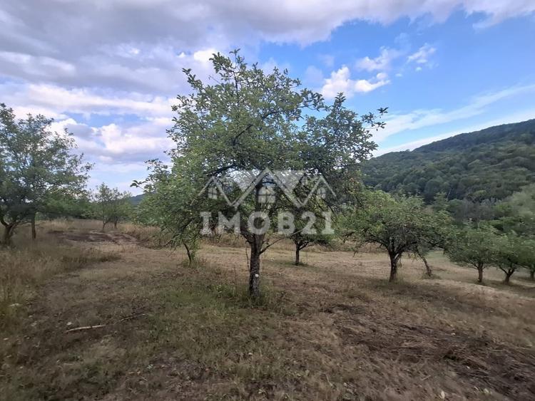 Teren agricol extravilan de 161899 mp, în Șoimari