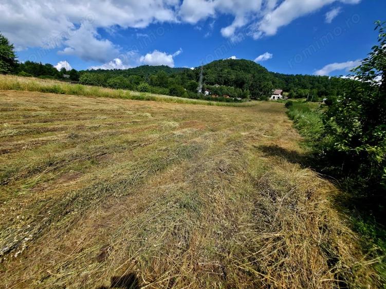 Teren de 600 mp, în Viișoara
