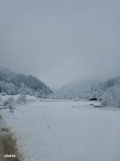 Teren 2.000 mp Zarnesti | PUZ 2 case vacanta | Piatra Craiului - 4