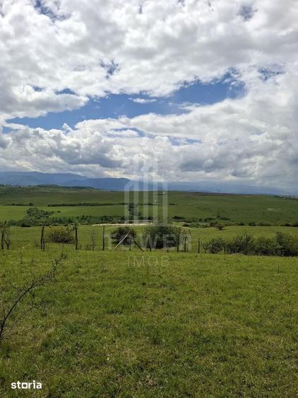 Teren de 11500 mp, în Roșia