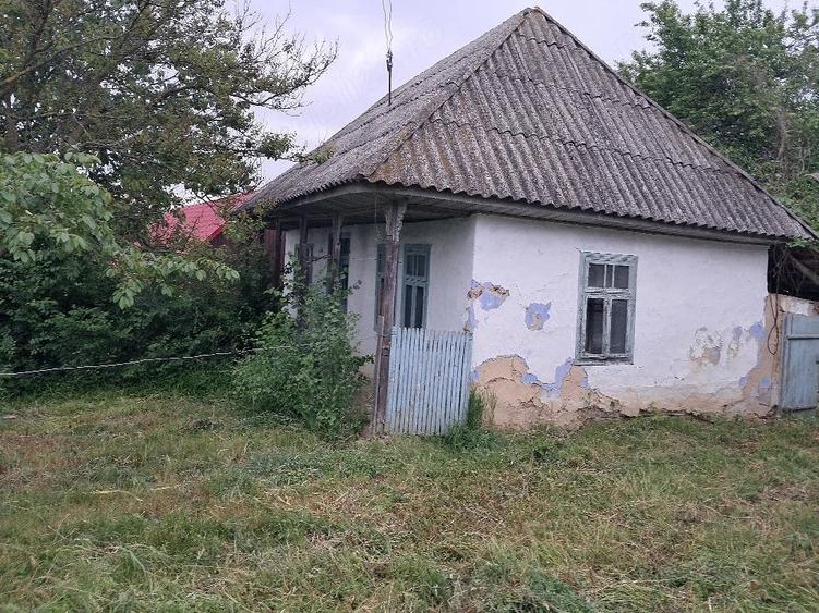 Casă cu Teren 2500 Mp în Gura Văii