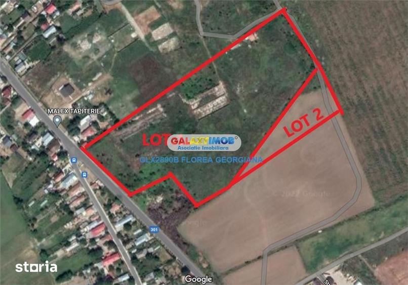 Teren de 38000 mp, în Cernica