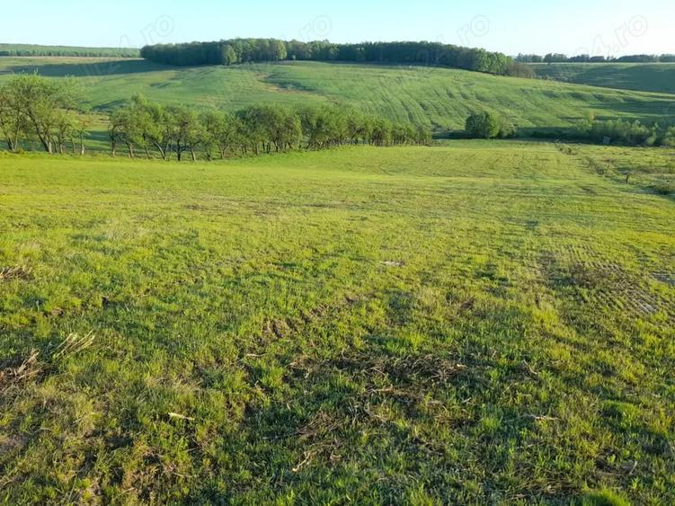 Teren de 9400 mp, în Remetea Chioarului
