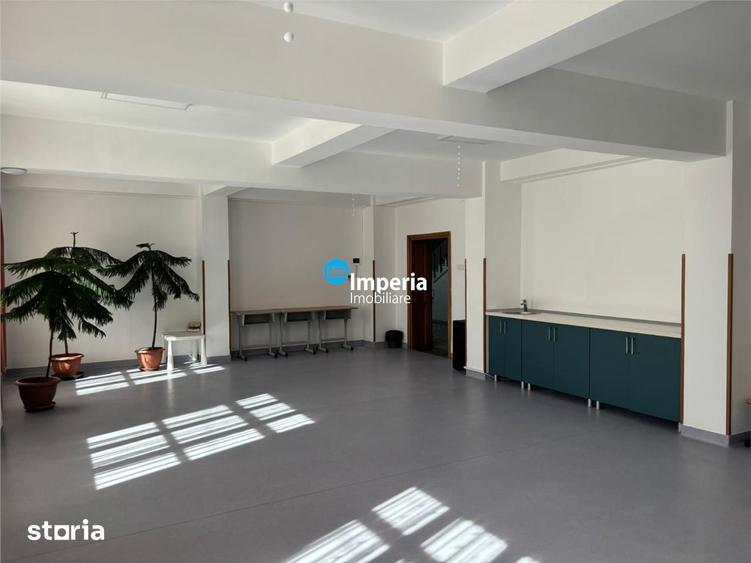 Birouri de inchiriat Copou Sararie - 2