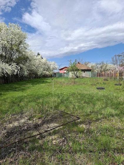 Teren de 651 mp, în Snagov