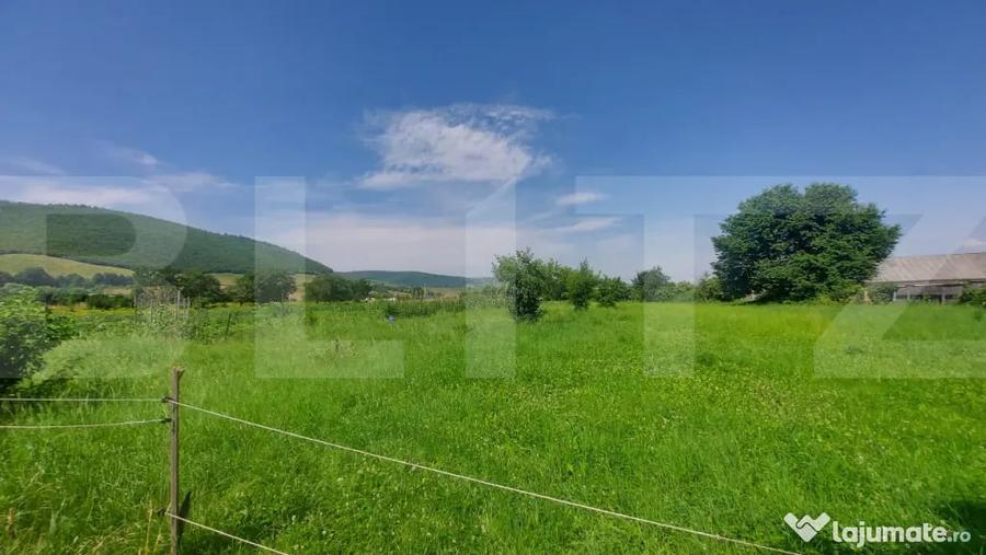 Casa + teren intravil, 3.6 ha I Zagon I Potential turistic s - 7